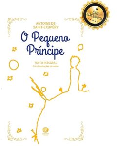 o pequeno principe filosofia para iniciantes